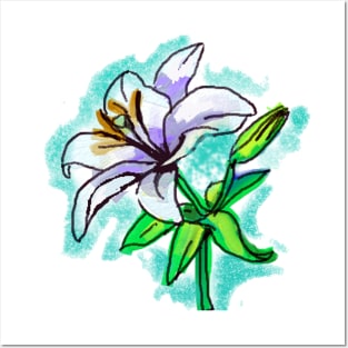 white lily art Posters and Art